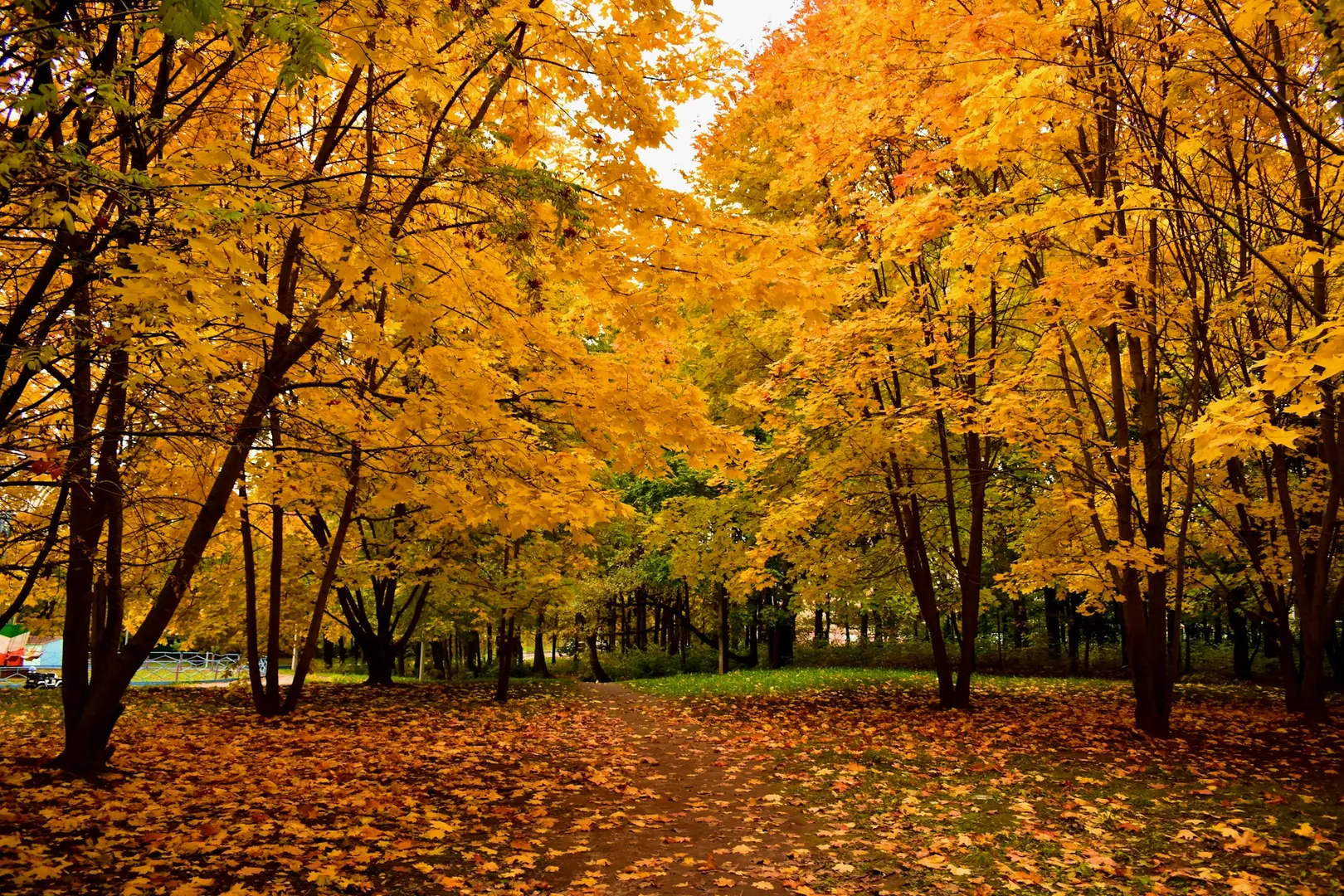 Altcoin Season Could Begin in September as Bitcoin’s Grip on Crypto Market Weakens: Coinbase Institutional