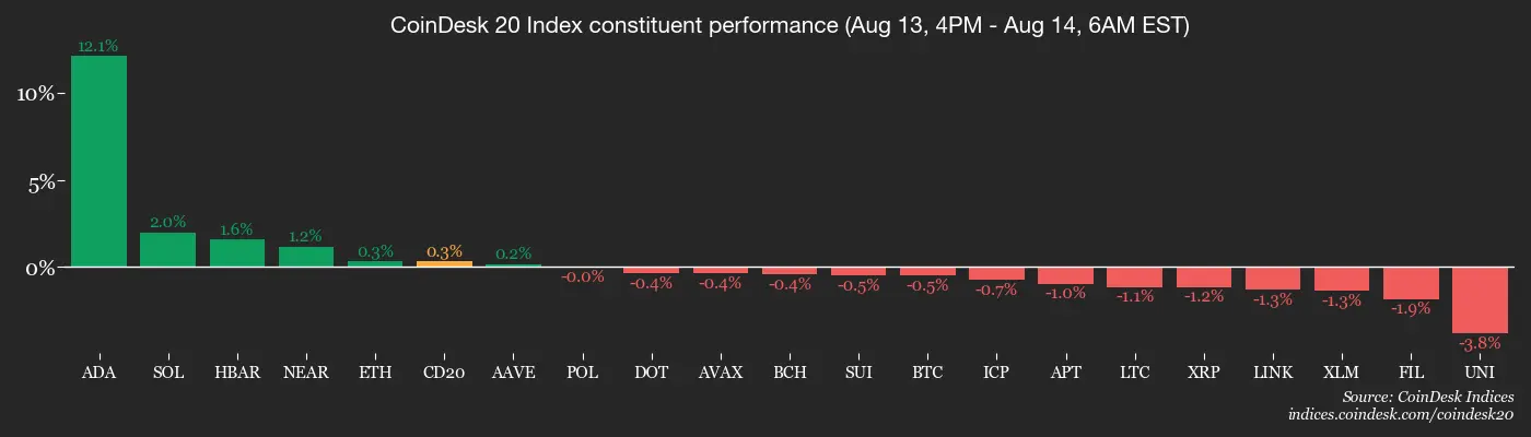 CoinDesk 20 members’ performance