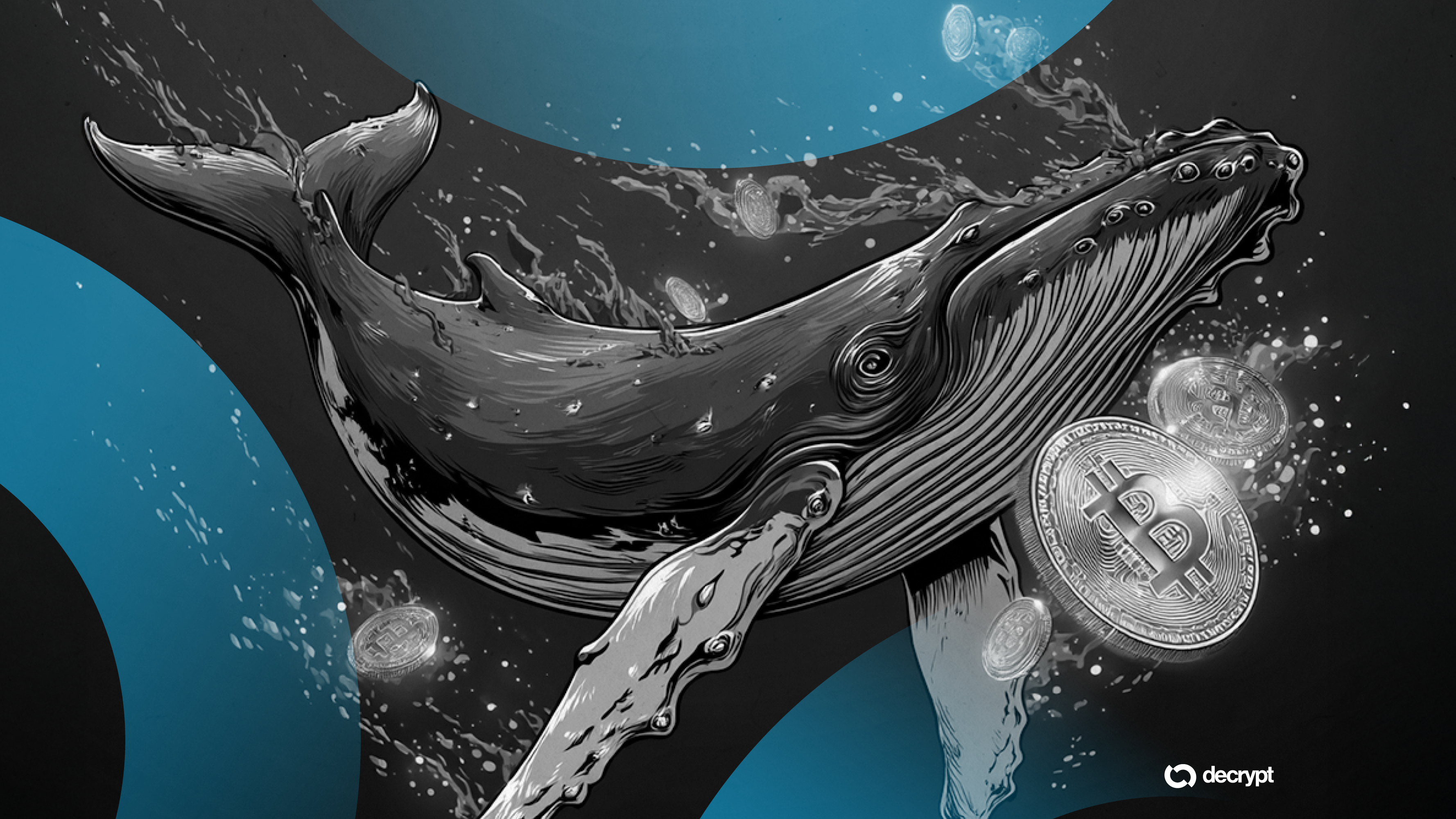 Bitcoin Whales Bought 1% of Circulating BTC Supply in Past 4 Months