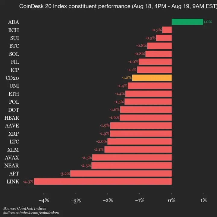 9am CoinDesk 20 Update for 2025-08-19: vertical