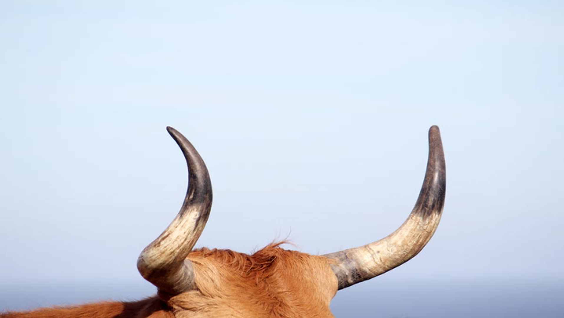 Crypto Treasury Strategy News: Hong Kong's Reitar and VivoPower