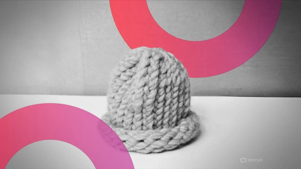 Dogwifhat Knitted Hat Sells for $800,000 to Founder of Meme Coin Launchpad