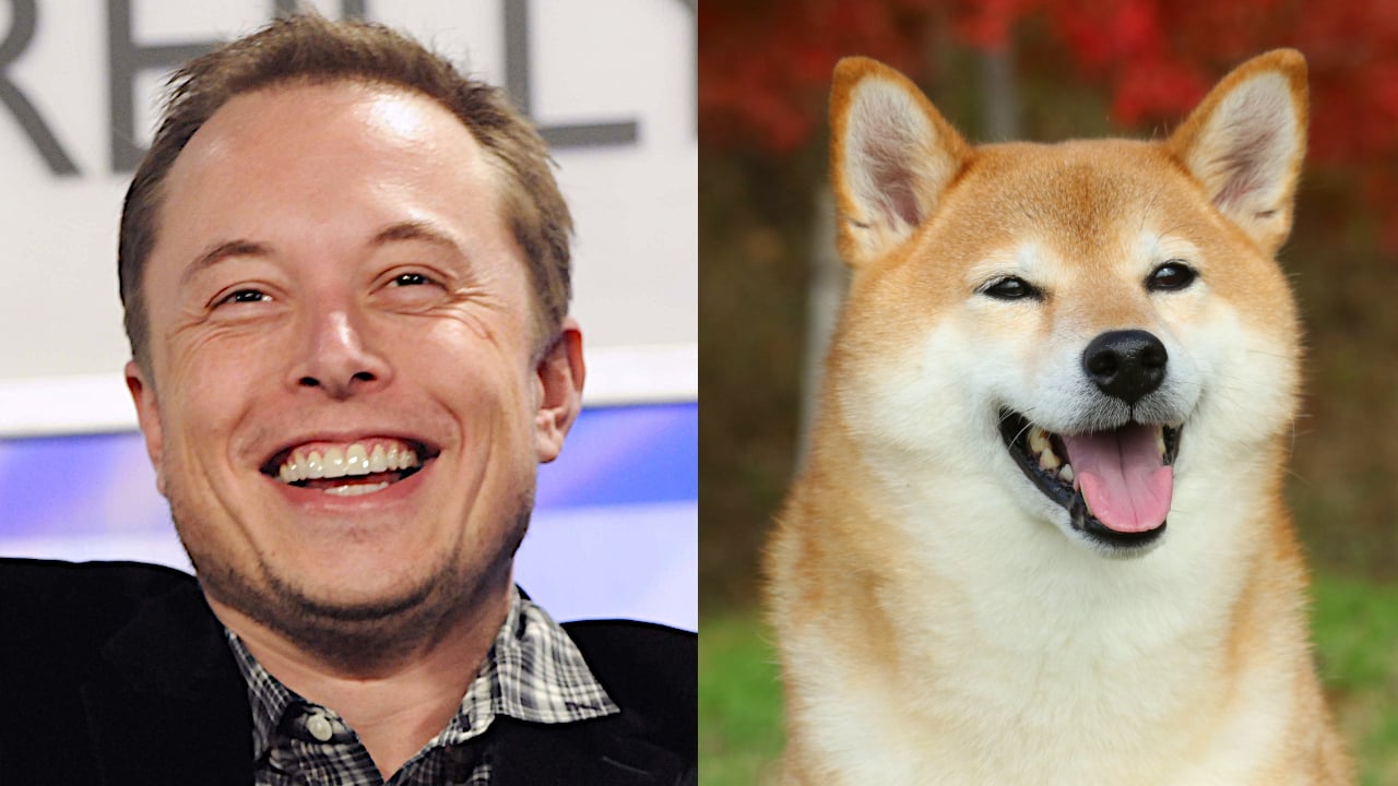 Elon Musk and Dogecoin: How the Billionaire Became the 'Dogefather'