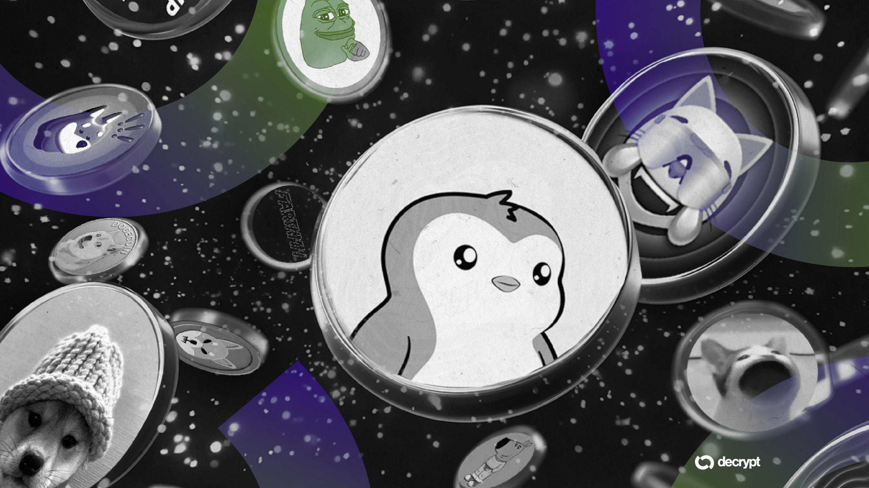 Meme Coin Massacre: Buying Opportunity or a Warning to Exit?