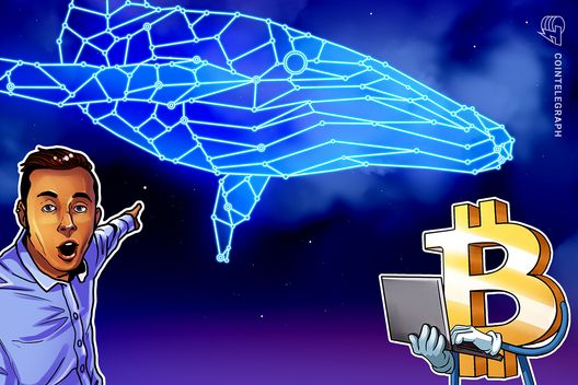 New whales trigger Bitcoin’s third profit-taking wave of current cycle