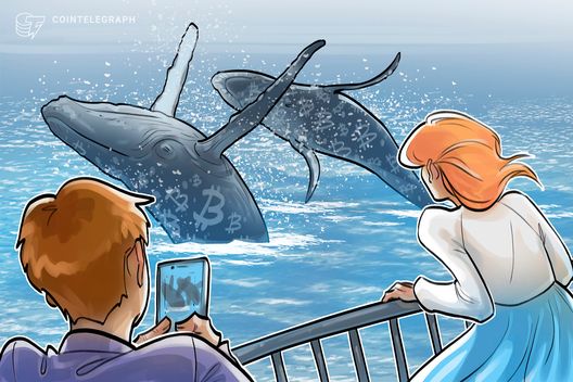 Satoshi-era whale moves $4.6B in Bitcoin after 14-year HODL