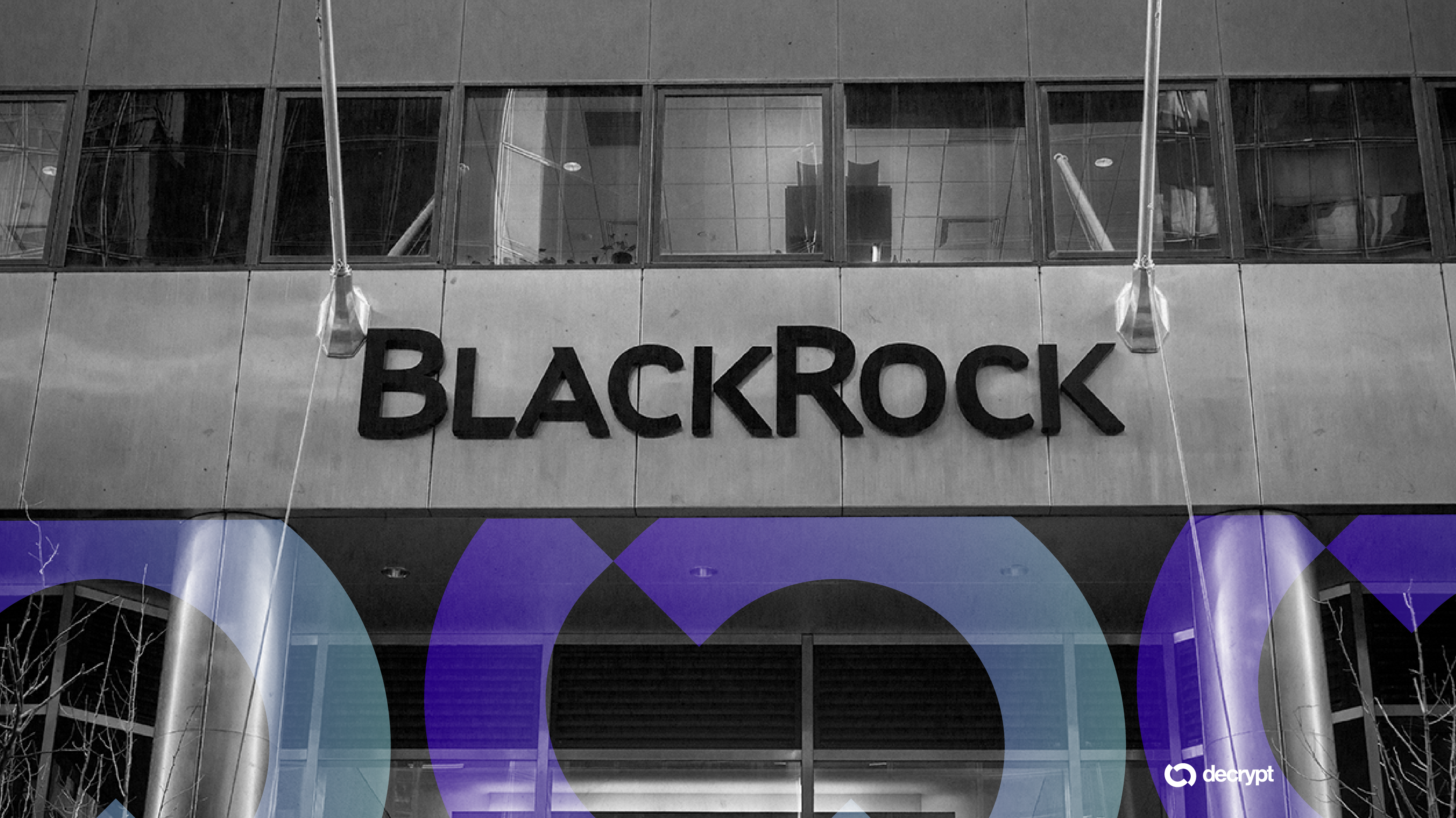 Securities On-Chain? There's Only One True Way, Says BlackRock-Backed Firm's CEO