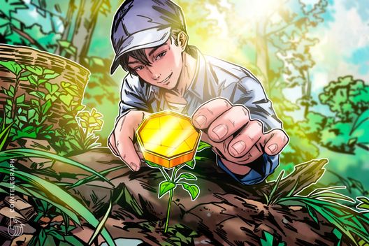 This is how crypto experts find 100x projects before the hype
